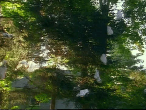 season 2 episode 6 GIF