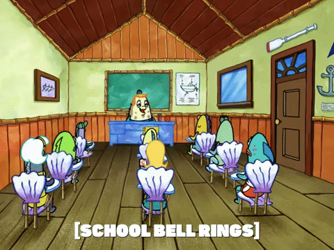 season 6 dear vikings GIF by SpongeBob SquarePants