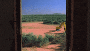 alexander george art GIF by NOWNESS