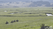 Colorado Springs Travel GIF by The Broadmoor