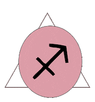 Sign Zodiac Sticker by Nevesa Store