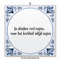 Nl Regen GIF by Tegelspreuken.nl
