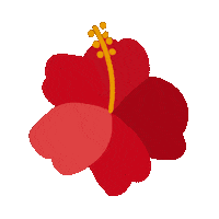 Malaysia Hibiscus Sticker by Stickerrific