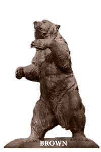 Brownu Go Bruno Sticker by Brown University
