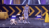 americas got talent nbc GIF