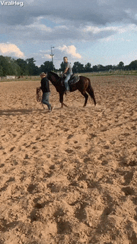 Horse Rider Wasnt Quite Ready For Takeoff GIF by ViralHog