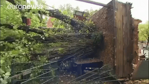 Germany Tempest GIF by euronews