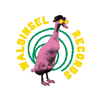 Cool Duck Sticker by Lasterkultur