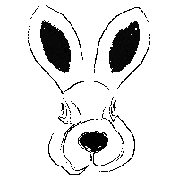 Rabbit Conejo Blanco Sticker