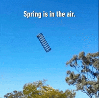Spring Air GIF