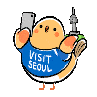 Photography Picture Sticker by Visit Seoul
