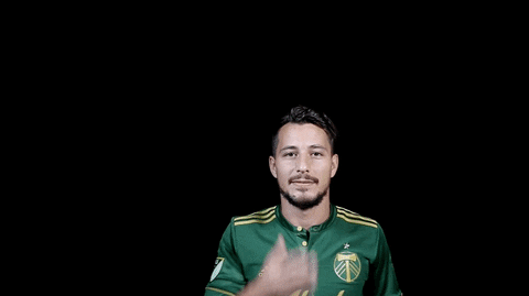 major league soccer sport GIF by Timbers
