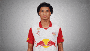 Show Love Heart GIF by FC Red Bull Salzburg