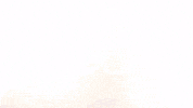 Celebration Goal GIF by FC Red Bull Salzburg