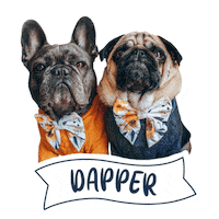 French Bulldog Sticker by Morty The Pug