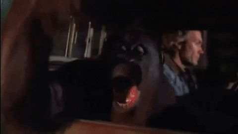hank-williambuelow giphygifmaker right turn clyde GIF