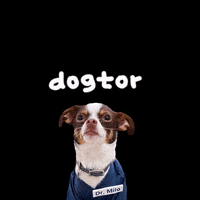 Dogtormilo  GIF