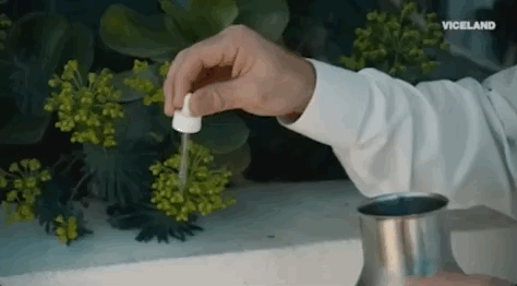 whatwoulddiplodo giphyupload viceland what would diplo do? giphywhatwoulddiplodo103 GIF