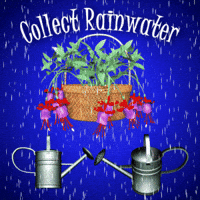 Rain Drought GIF