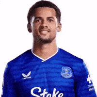Football Everton GIF