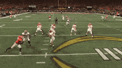 Uafb4 GIF by Alabama Crimson Tide