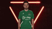 Hannover 96 Cheering GIF by Bundesliga