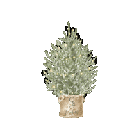 CohenandCo christmas winter trees seasons Sticker