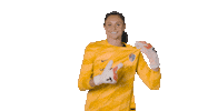 North Carolina Courage Sport Sticker by National Women's Soccer League