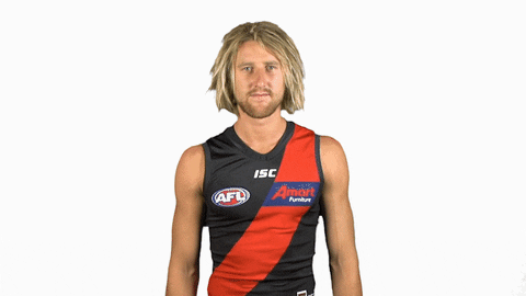 essendonfc giphyupload dons bombers essendon GIF