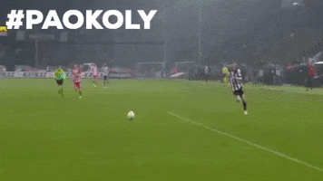 football paokfamily GIF by PAOK FC