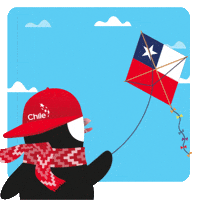 Chile Chiri GIF by ProChile MKT