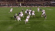 Celebrate College Football GIF by Michigan State Football