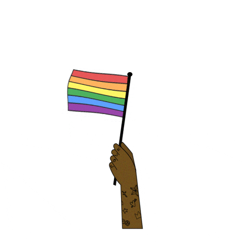 Kampania_Przeciw_Homofobii giphyupload pride lgbt flag GIF