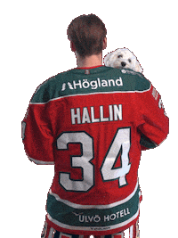 Hockeyallsvenskan Sticker by MoDo Hockey