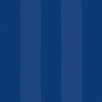 Football Soccer GIF by Odense Boldklub