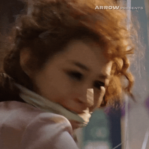 Takashi Miike Horror GIF by Arrow Video