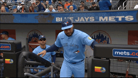 Blue Jays Baseball GIF by Toronto Blue Jays