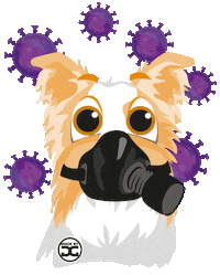 Border Collie Dog Sticker by Doggygraphics