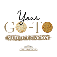 Summer Snack Sticker by Wellington Crackers