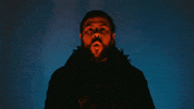 Water Wave GIF by Mason Gold