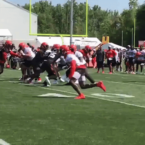 jburns1810 giphyupload GIF