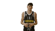 Partizan Sticker by sportmts