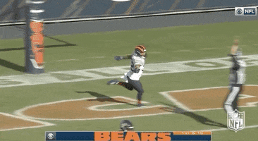 Regular Season Football GIF by NFL