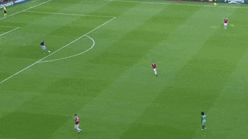 euro 2016 GIF by Sporza