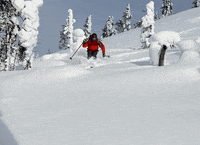 GIF by Hand Job Gloves