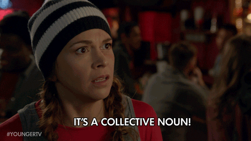 tv land collective noun GIF by YoungerTV