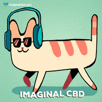 Cat Vibing GIF by Imaginal Biotech