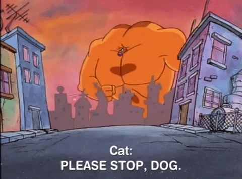 nicksplat GIF