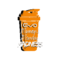 evolutiongymoswestry evolution evo evo gym evo oswestry Sticker