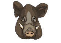 BalazsBorbala music boar discoparty sezlony Sticker